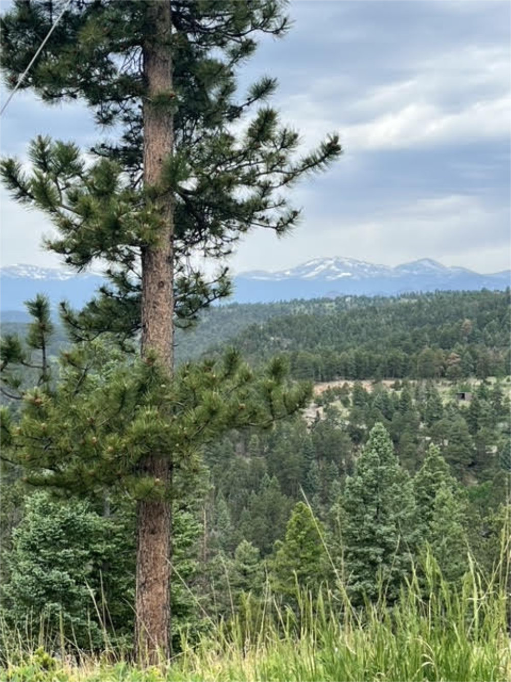 Conifer, CO Mountain Home