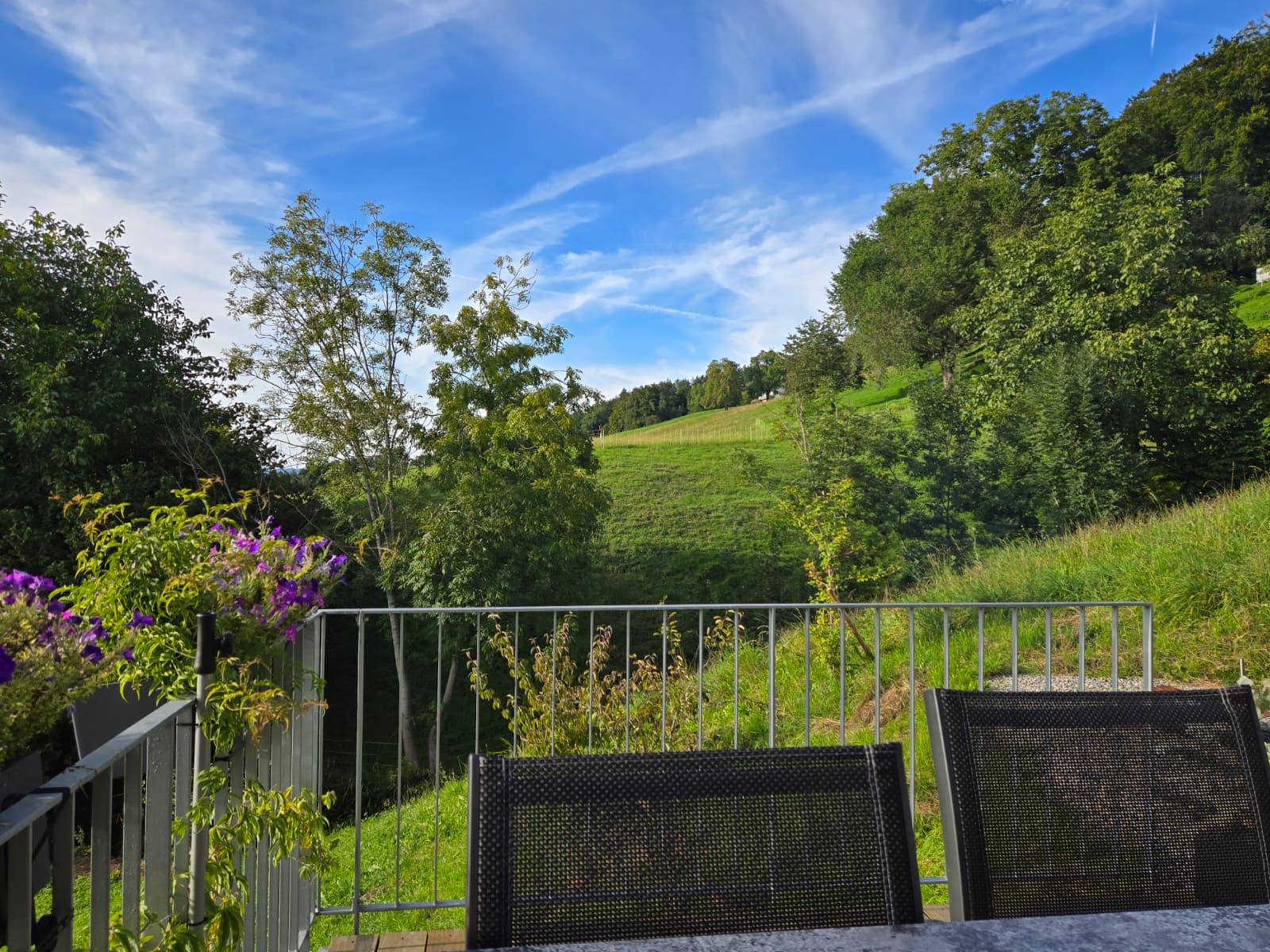 Altwis, Switzerland One Bedroom Home