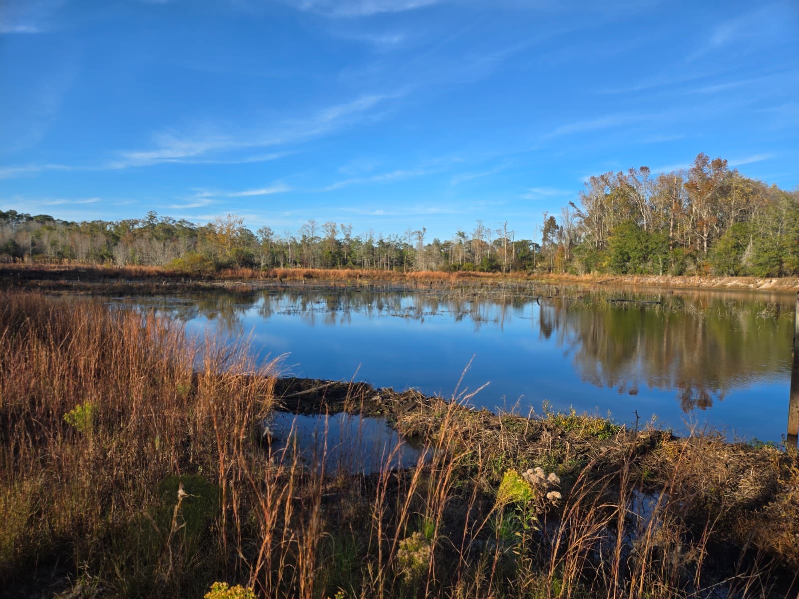Geneva, AL Unhosted Pond Cabin
