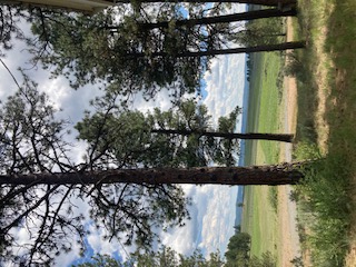 Seneca, OR Oasis Home