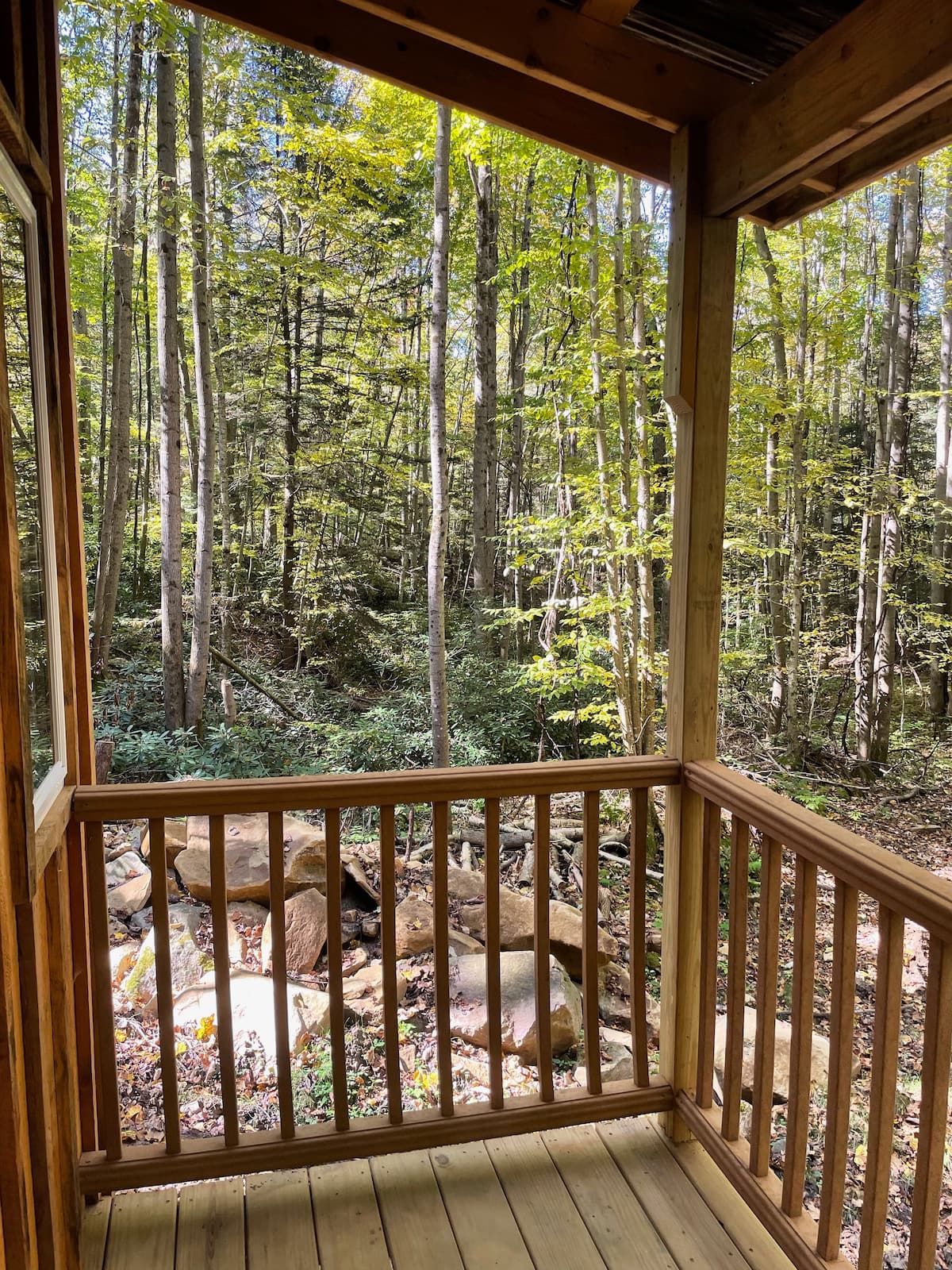 Confluence, PA Rusty Perch Tiny Home