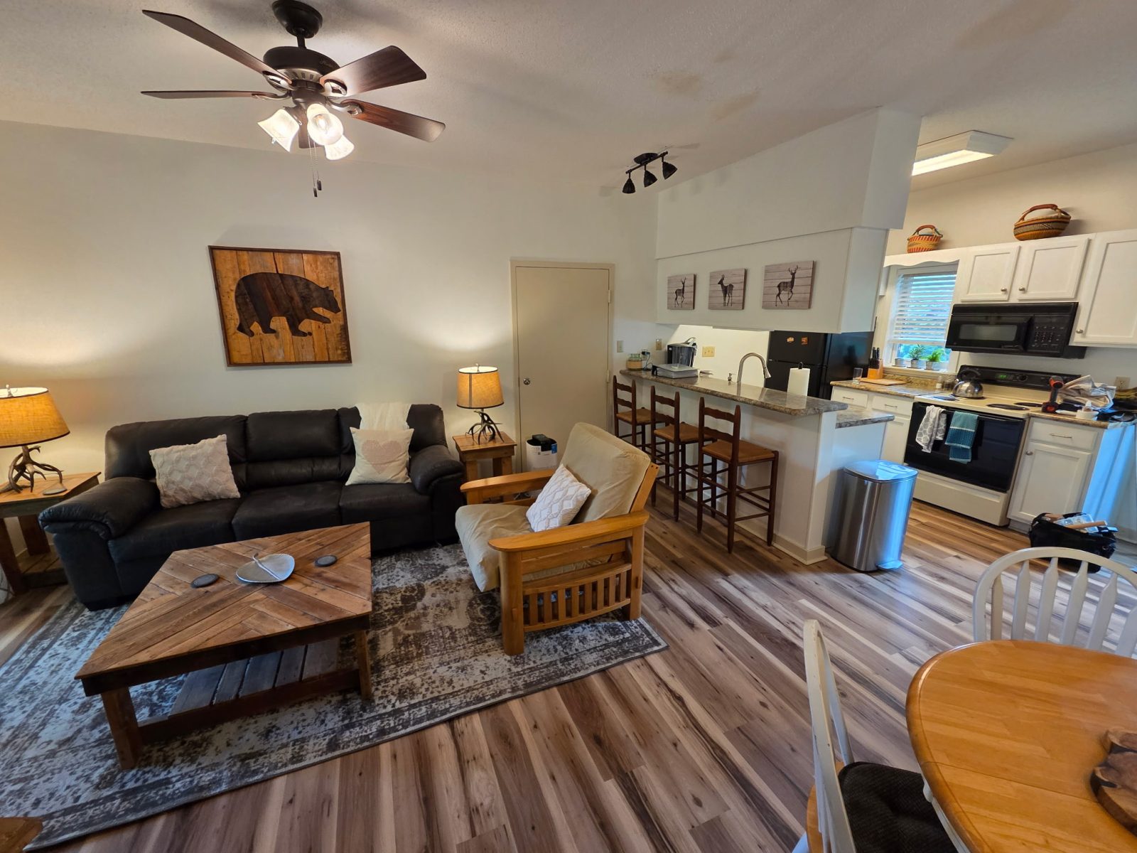 Mars Hill, NC Mountain Condo