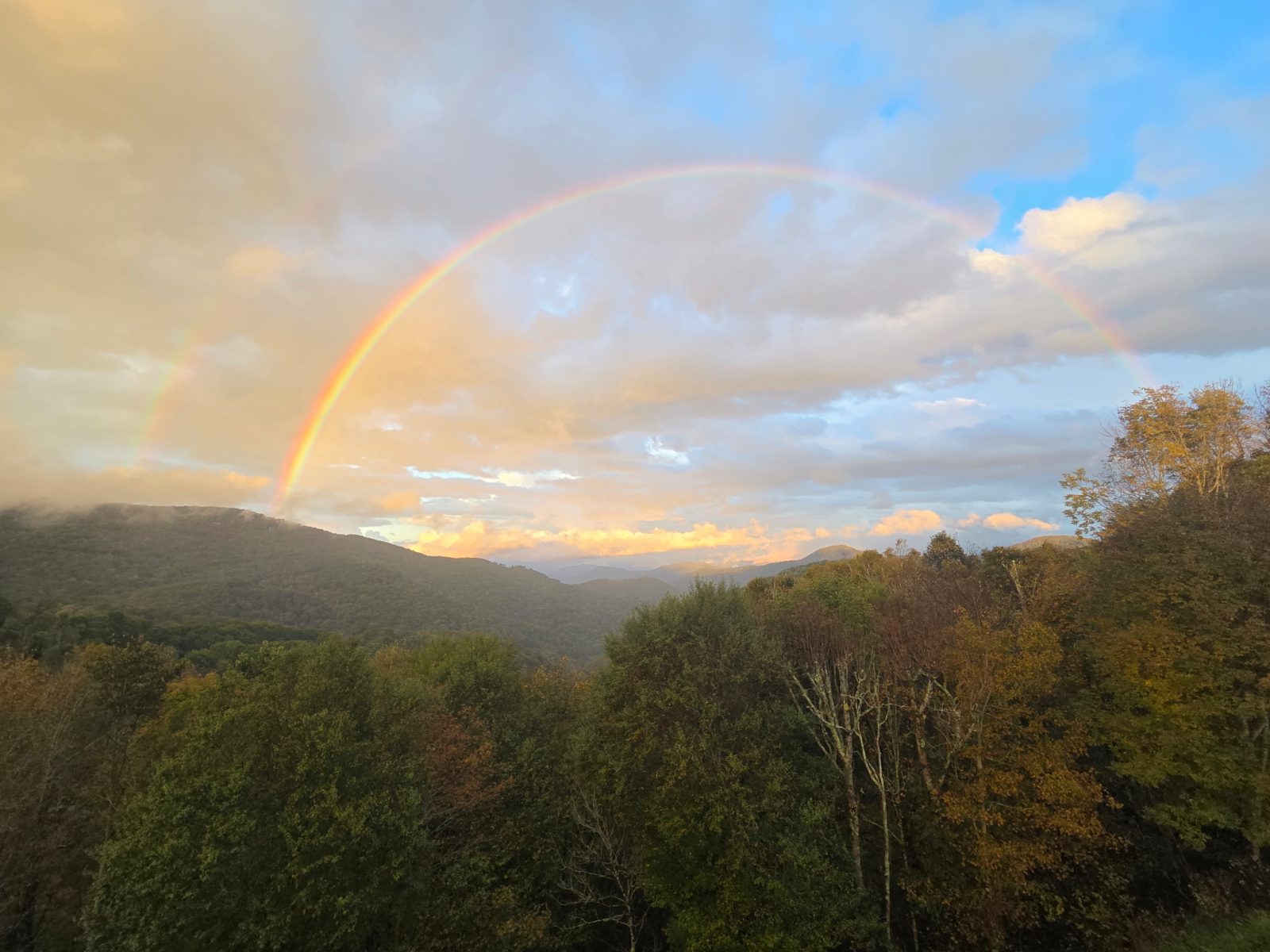 Mars Hill, NC Mountain Condo